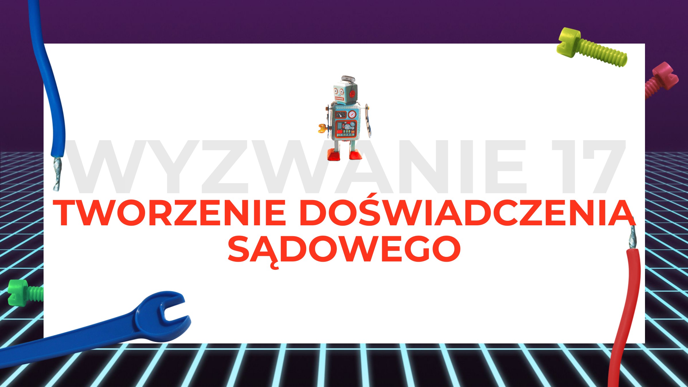 W17 Zorganizowanie udziału w rozprawie sądowej w charakterze publiczności